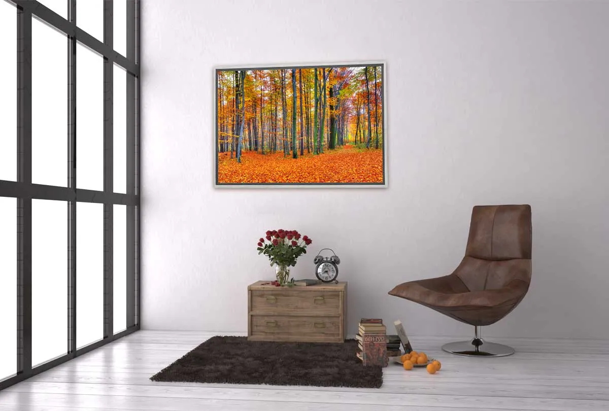 Autumn Forest 2 | Canvas Wall Art Print