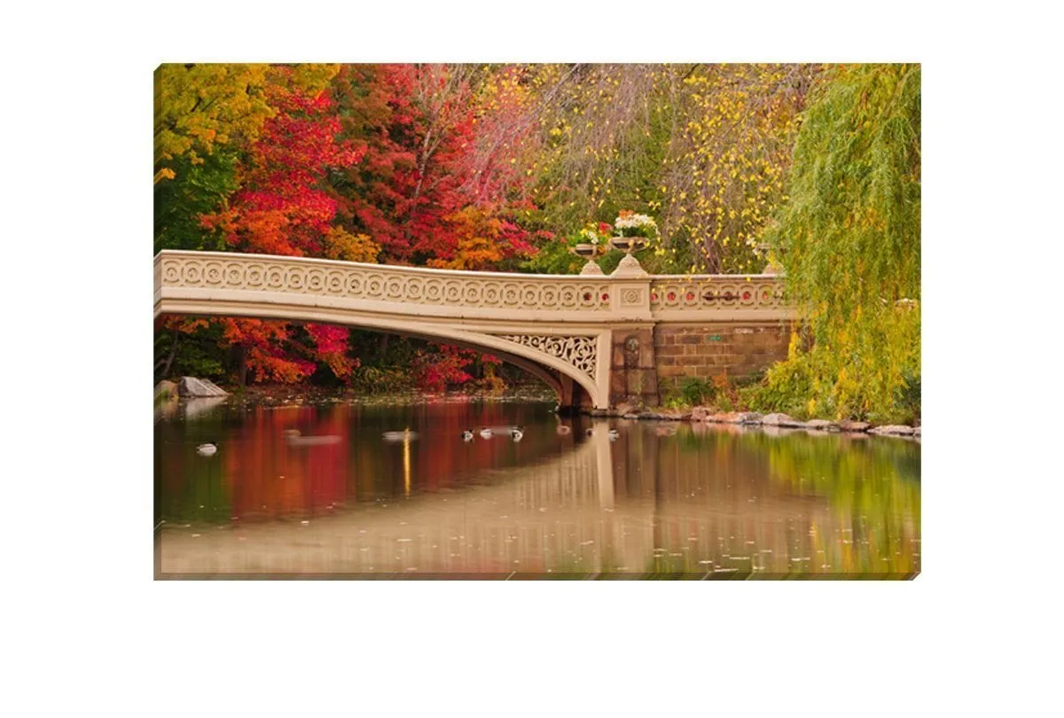 Central Park 2, NYC | Canvas Art Print