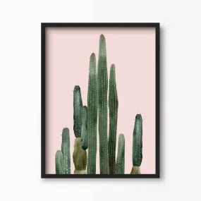 Pink Cactus Art Print