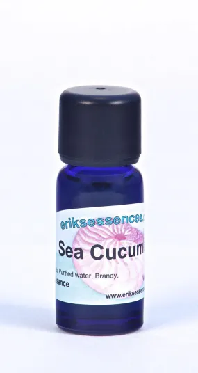 SE 05. Sea Cucumber - Aquamarine. Sea Essence. 15ml